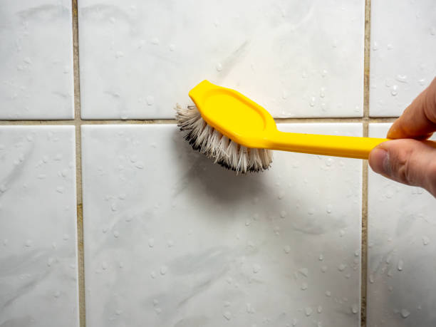Best Mold Damage Repair  in Lisbon, OH