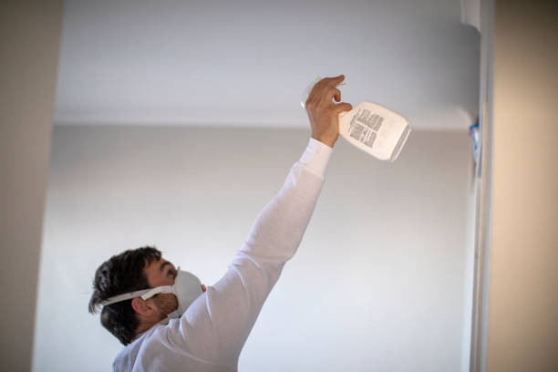 Best Mold Removal and Inspection  in Lisbon, OH