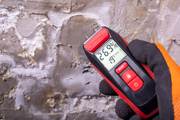 Best Mold Remediation  in Lisbon, OH