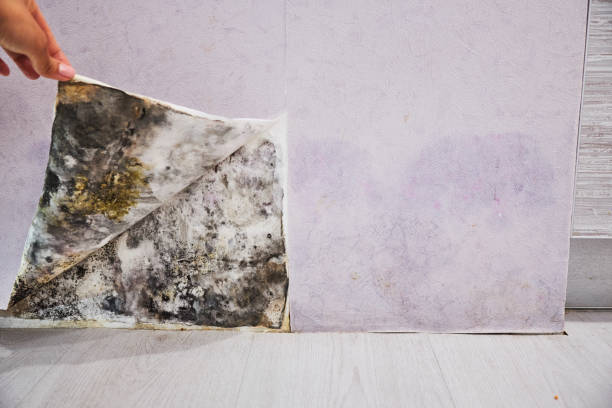 Water Damage Restoration in Lisbon, OH